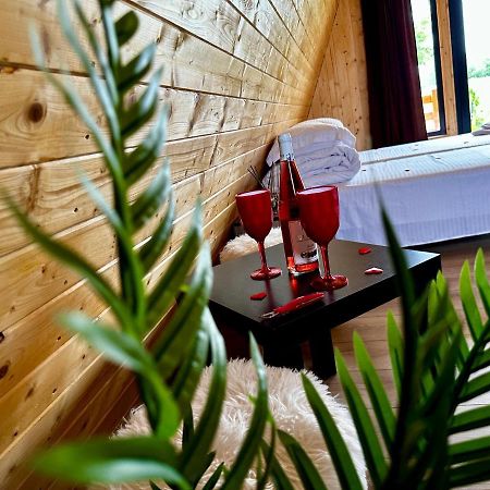 A-Frame Bucovina- Paradis Bucovinean Capu Cîmpului Esterno foto